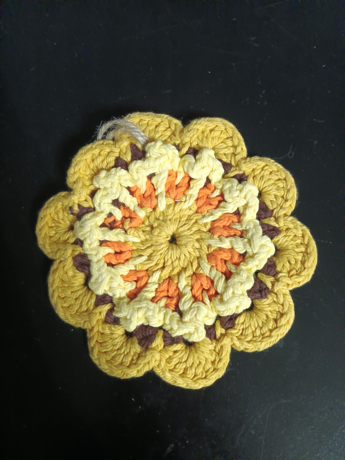 south western dish cloth