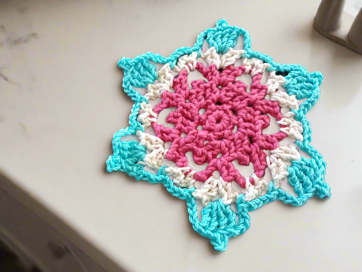 Dish cloth and wash cloth set