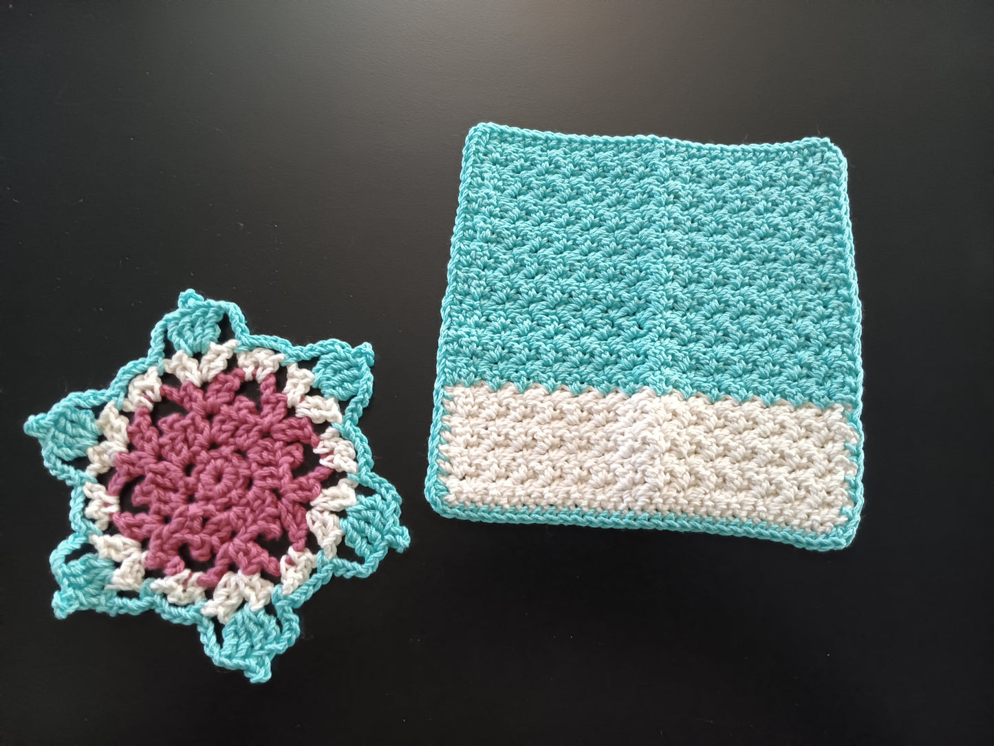 Dish cloth and wash cloth set