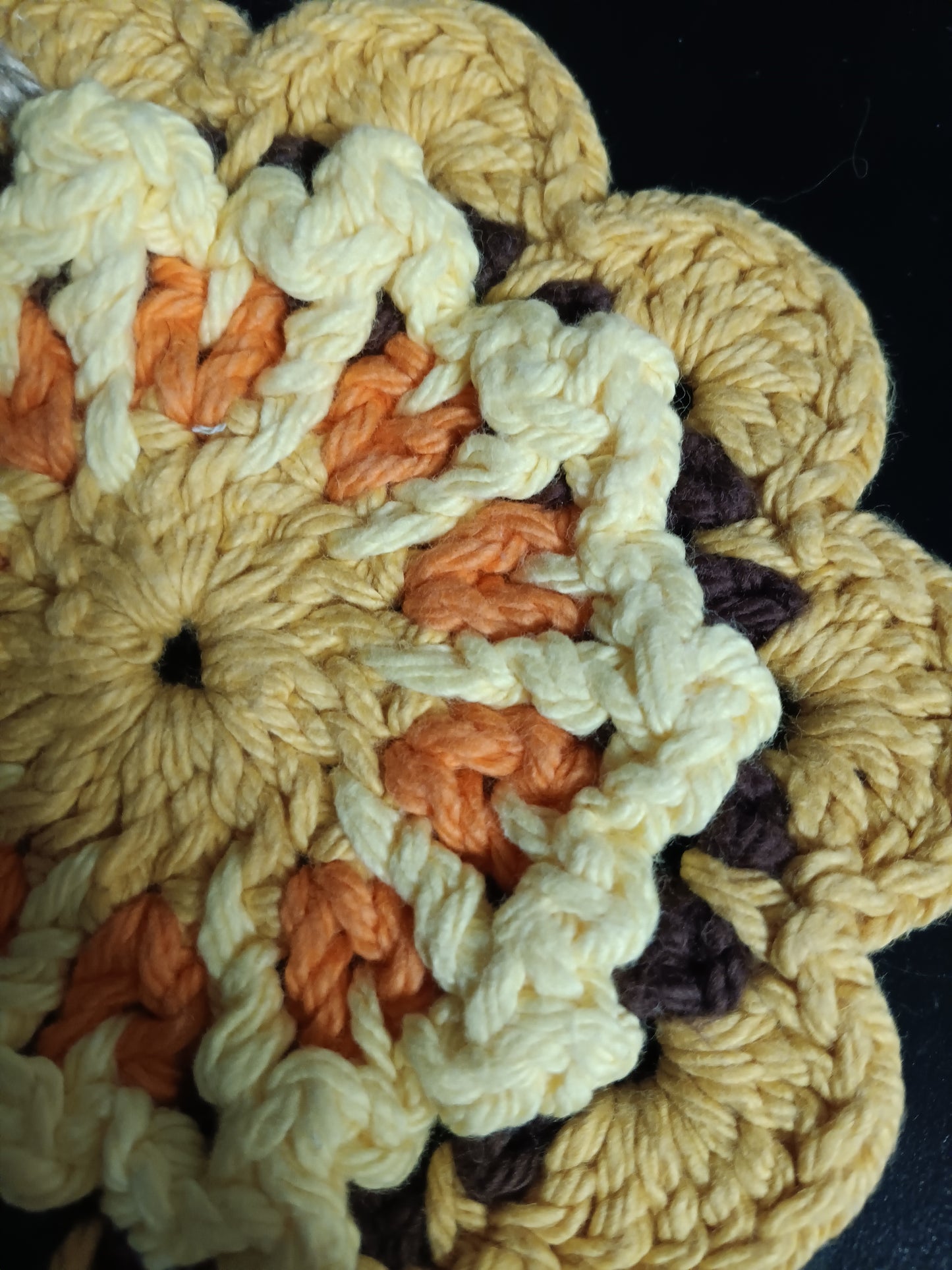 south western dish cloth