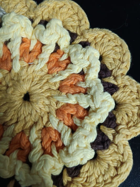south western dish cloth